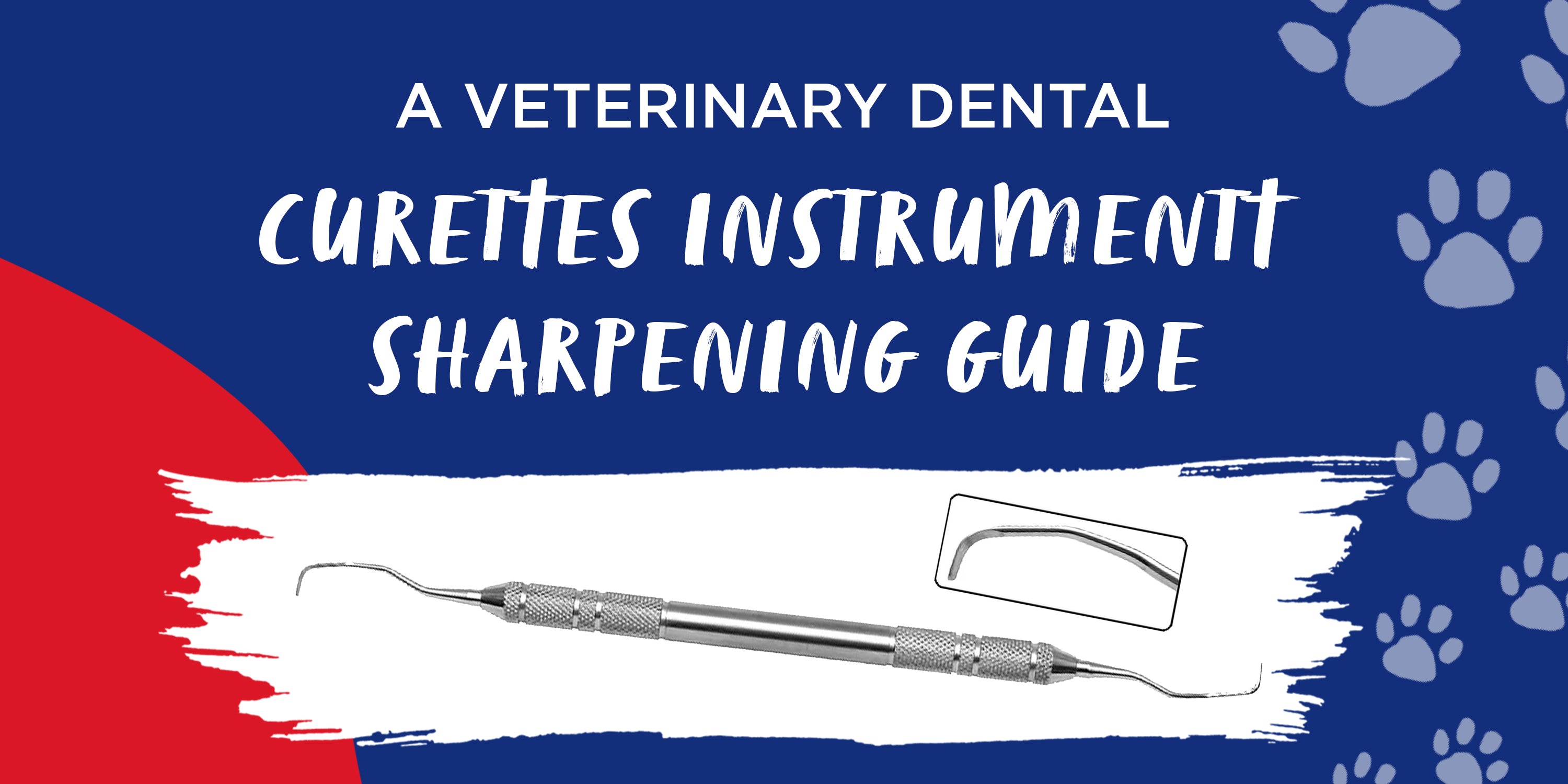 Sharp Instrument Veterinary Dental Curettes Instrument Sharpening Guide