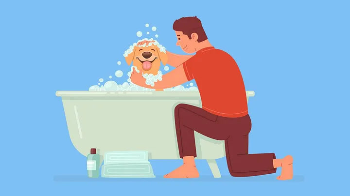 Keeping Your Pet Clean and Healthy Every Day.