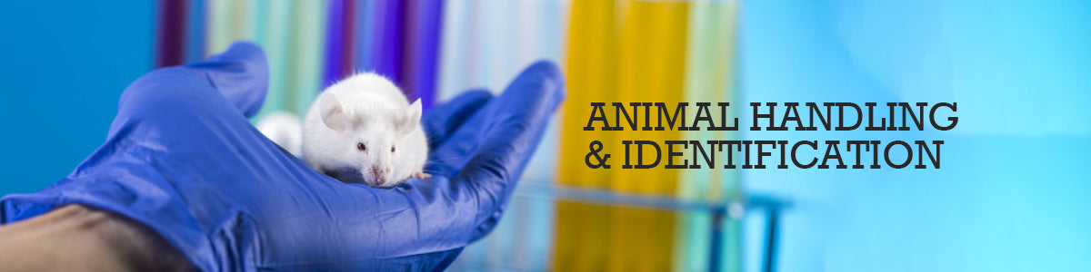 Animal Handling and identification – Dr Tail