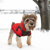 Winter Dog Clothes Pet Jacket Waterproof Small and Big Dog Coat