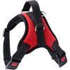 Dog Harness