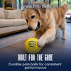 Arena Polo Balls