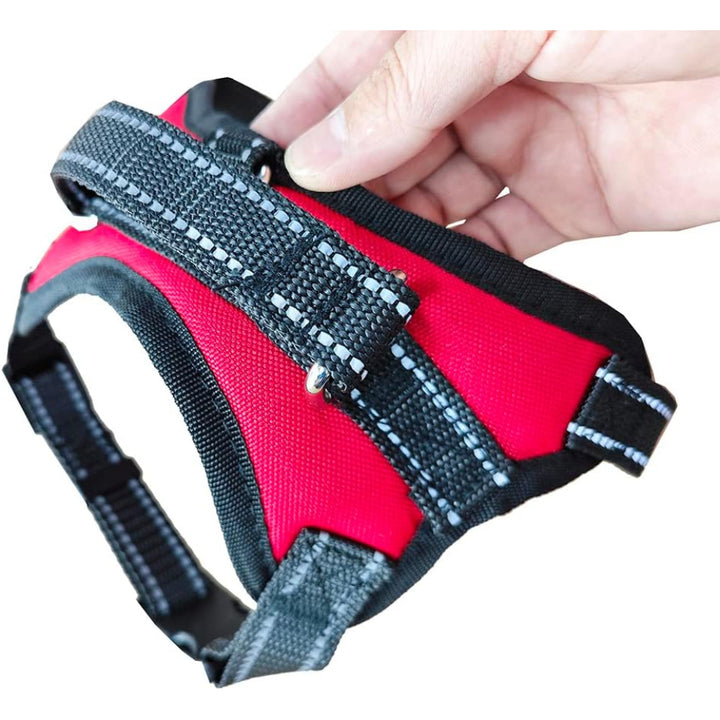 Dog Harness 2