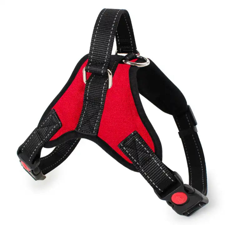 Dog Harness 4