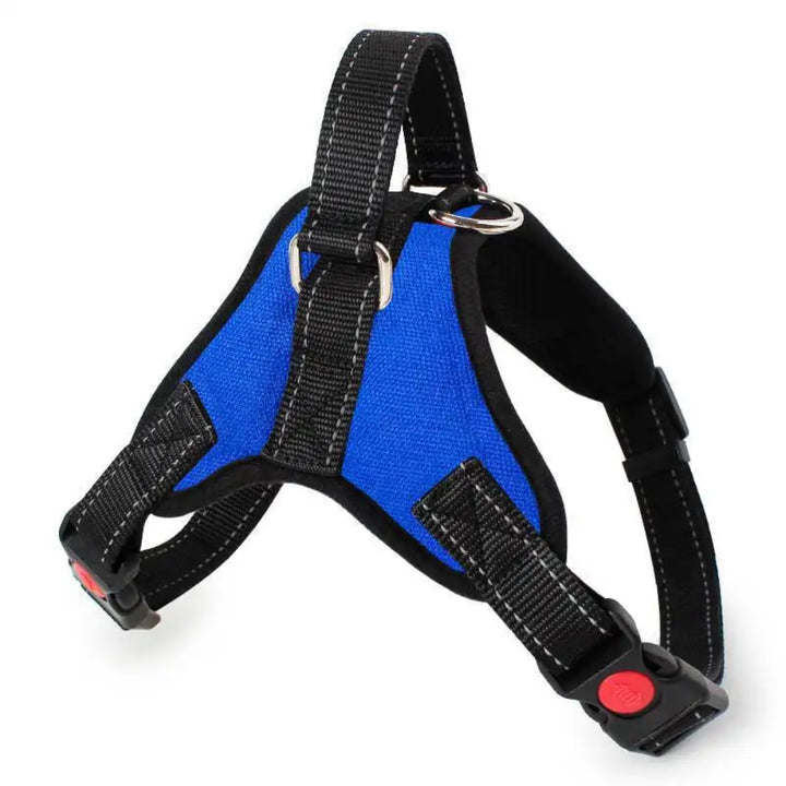 Dog Harness 6