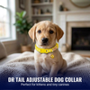 Dr. Tail Adjustable Dog Collar