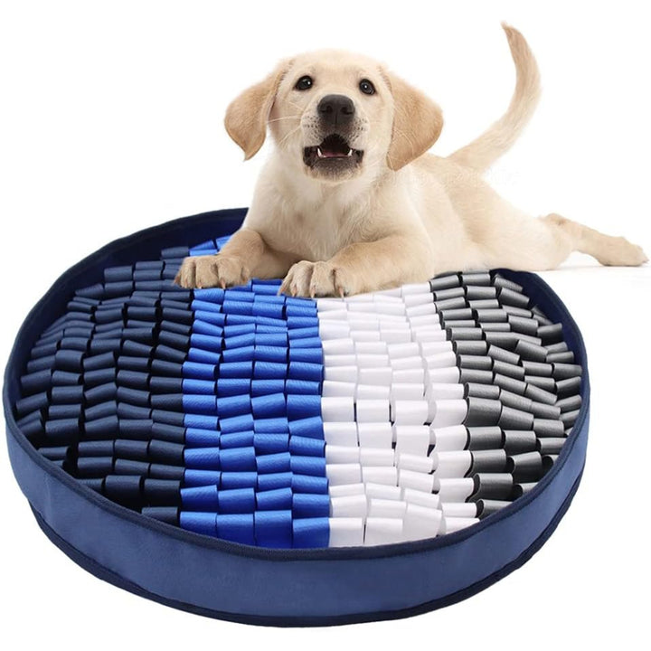 Pet Training Pad 3