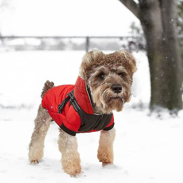 Winter Dog Coat with Reflective Strips
