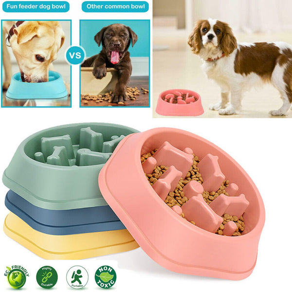 Pet Slow Feeder Bowl