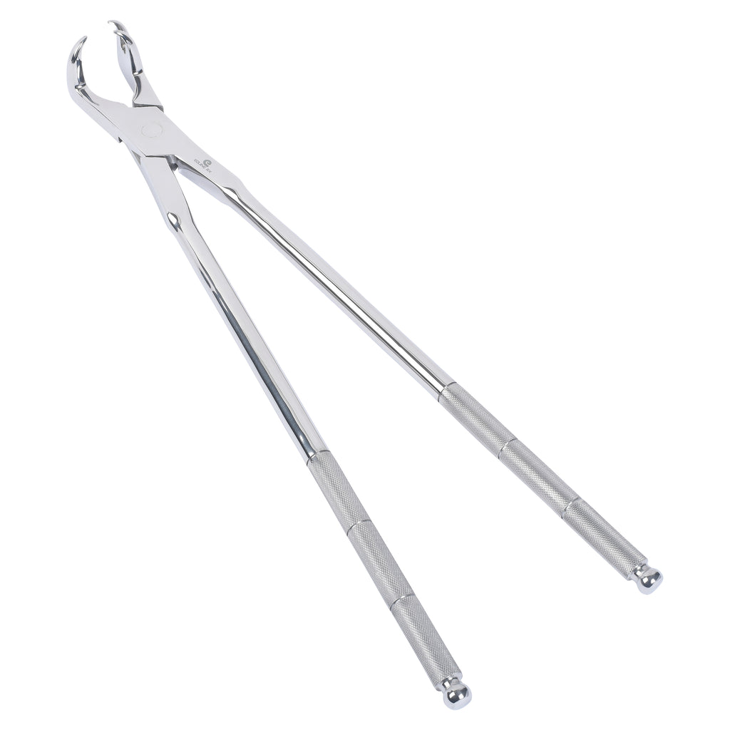 Dr. Tails Three Prong Root Molar Forceps OFF SIDE 19" -High Quality stainless steel for the upper and lower molars