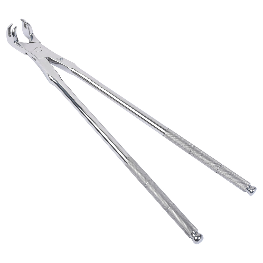 19" Universal Four Root Molar Forceps High quality stainless steel four prong molar extractor for removing teeth that are irregular or have a short crown. Can also aid in extraction of a fractured tooth.