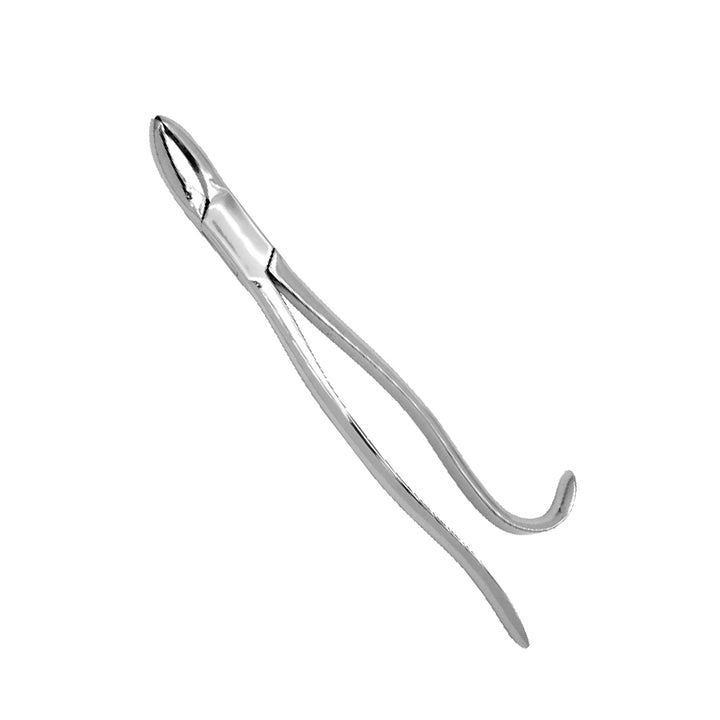 Equine Dental Instrument (EQI26)
