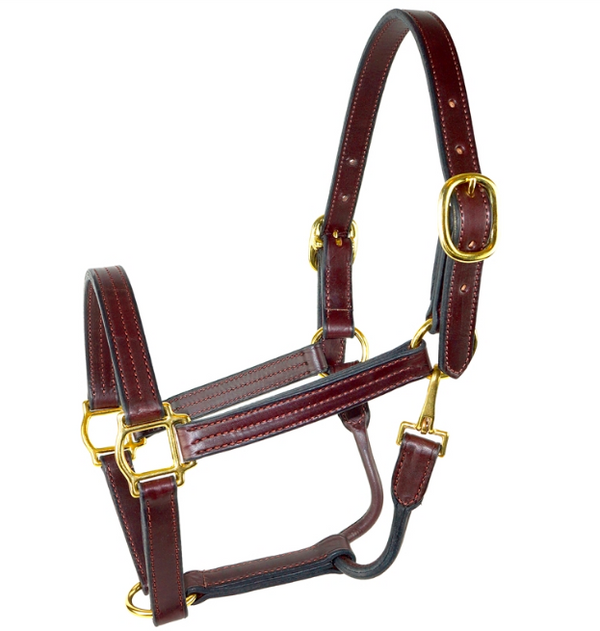 Leather Halter with Brass Fittings