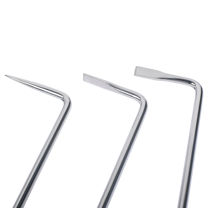 Long Head Dental Picks Equine