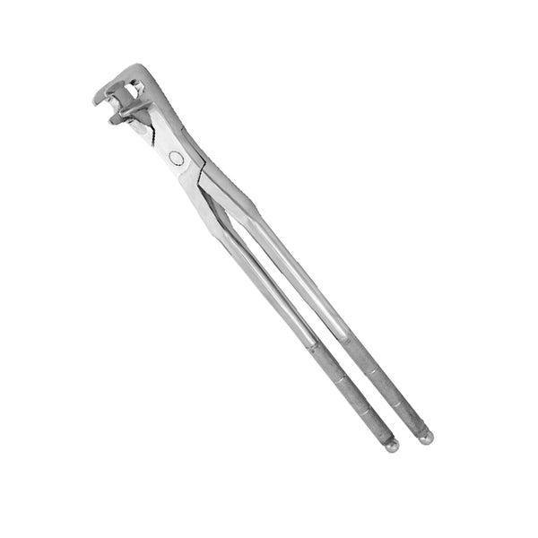 Equine Dental Forcep (EQI6)