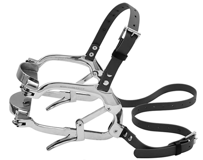 Millennium Speculum-easy to fit and comfortable on any horse. 